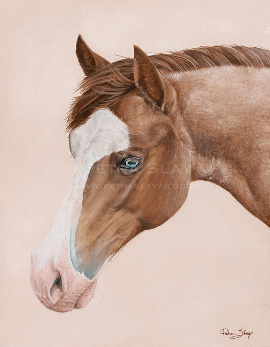 “Portrait Of A Blue Eyed Filly”